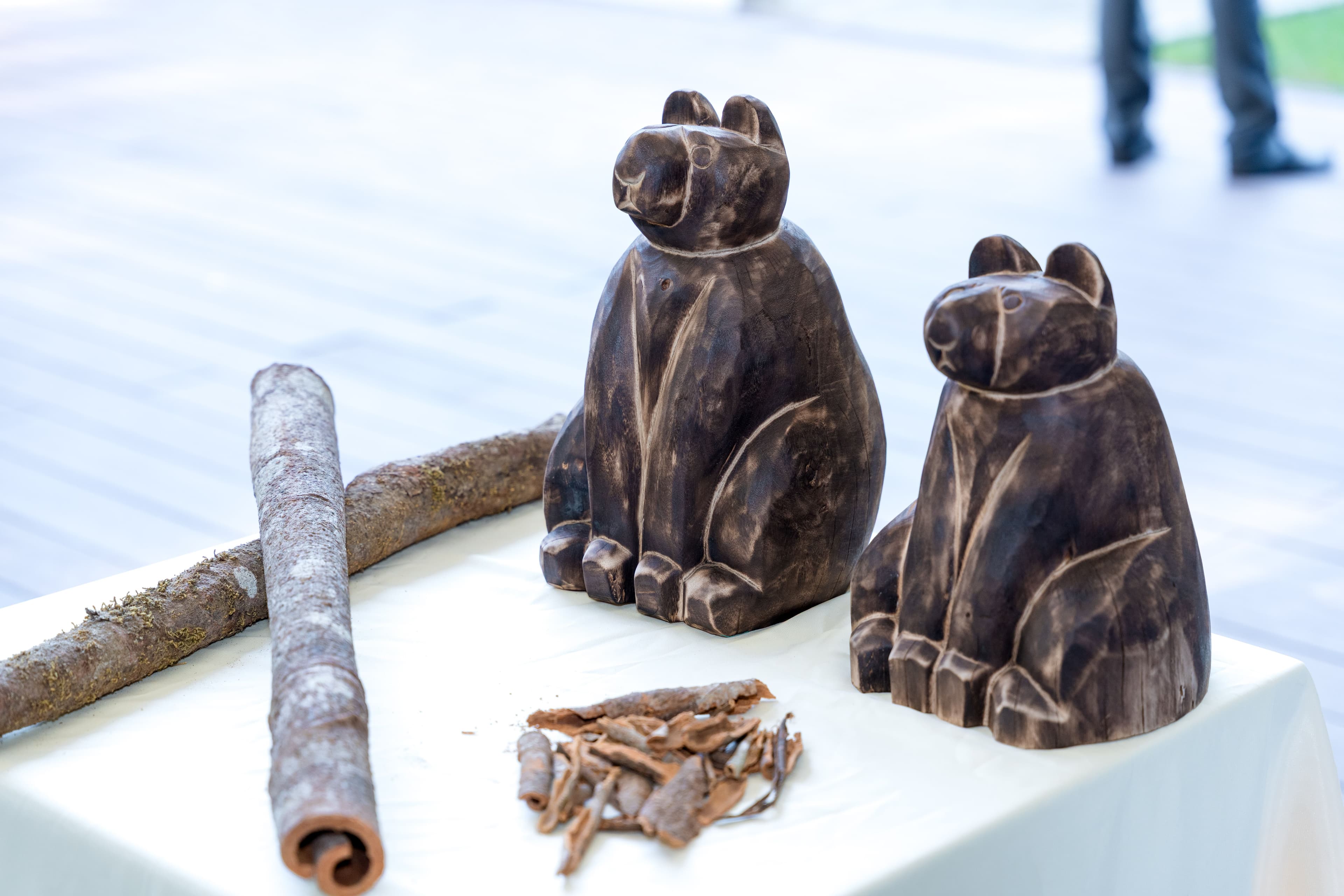 From the Great Forest to the Woodworking Village