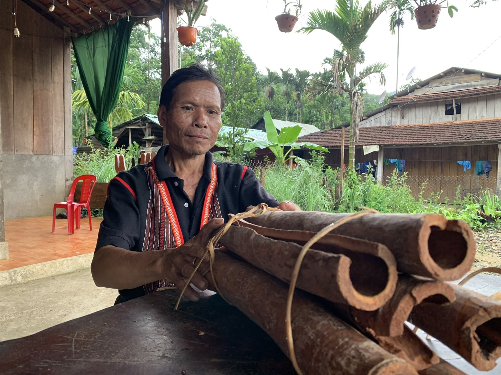 Sản phẩm quế ống của người dân