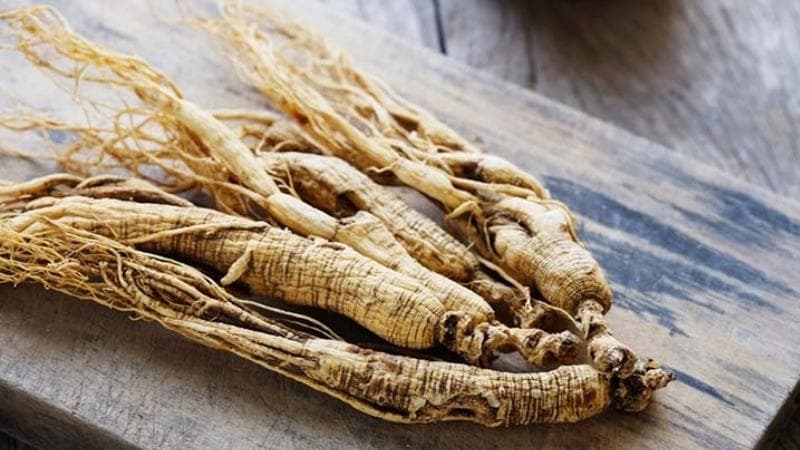 What are the Benefits of Ngoc Linh Ginseng?