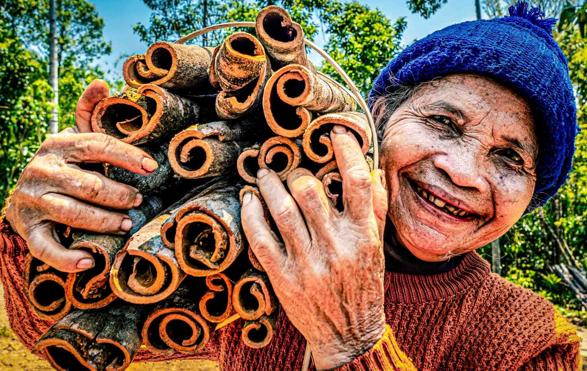 Thời Điểm Nào Cho Chất Lượng Quế Tốt Nhất?