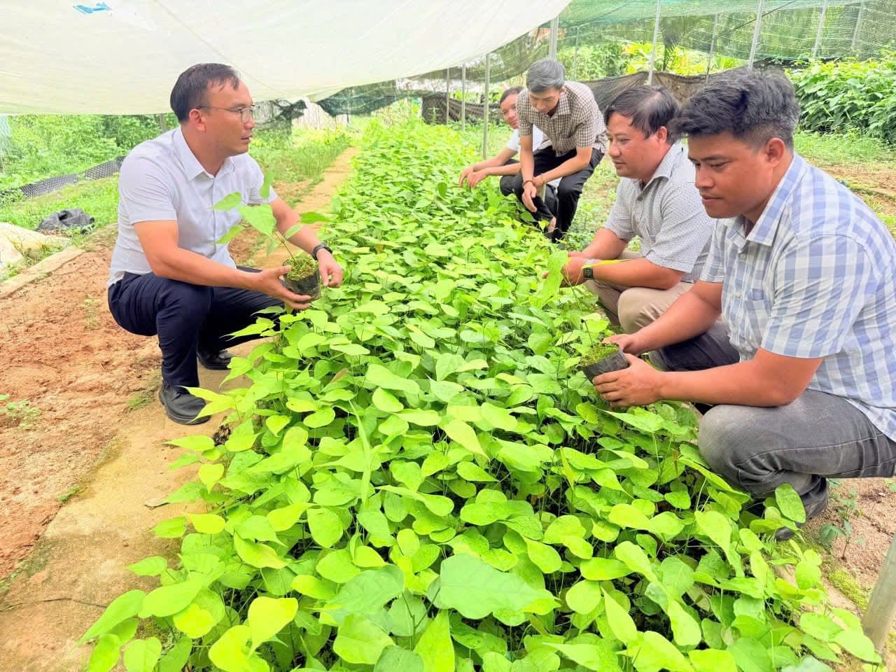 Ban lãnh đạo thăm vườn