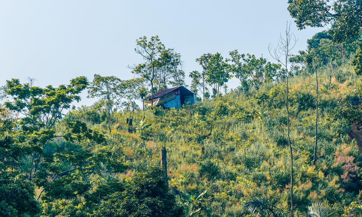 Giữa núi