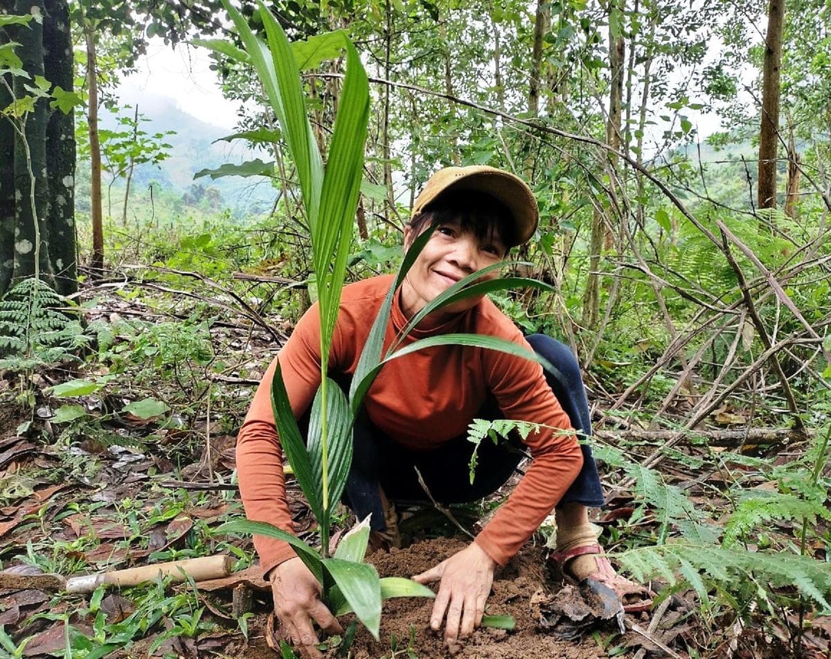 Người dân trồng cây