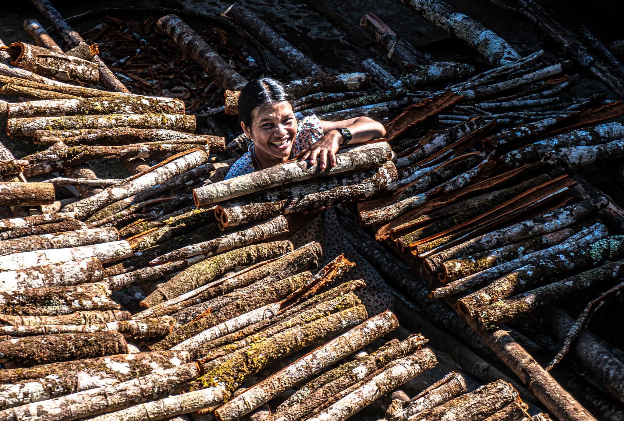 From Cinnamon Trees to Trà Leng's OCOP Products: A Journey to Enhance Local Value