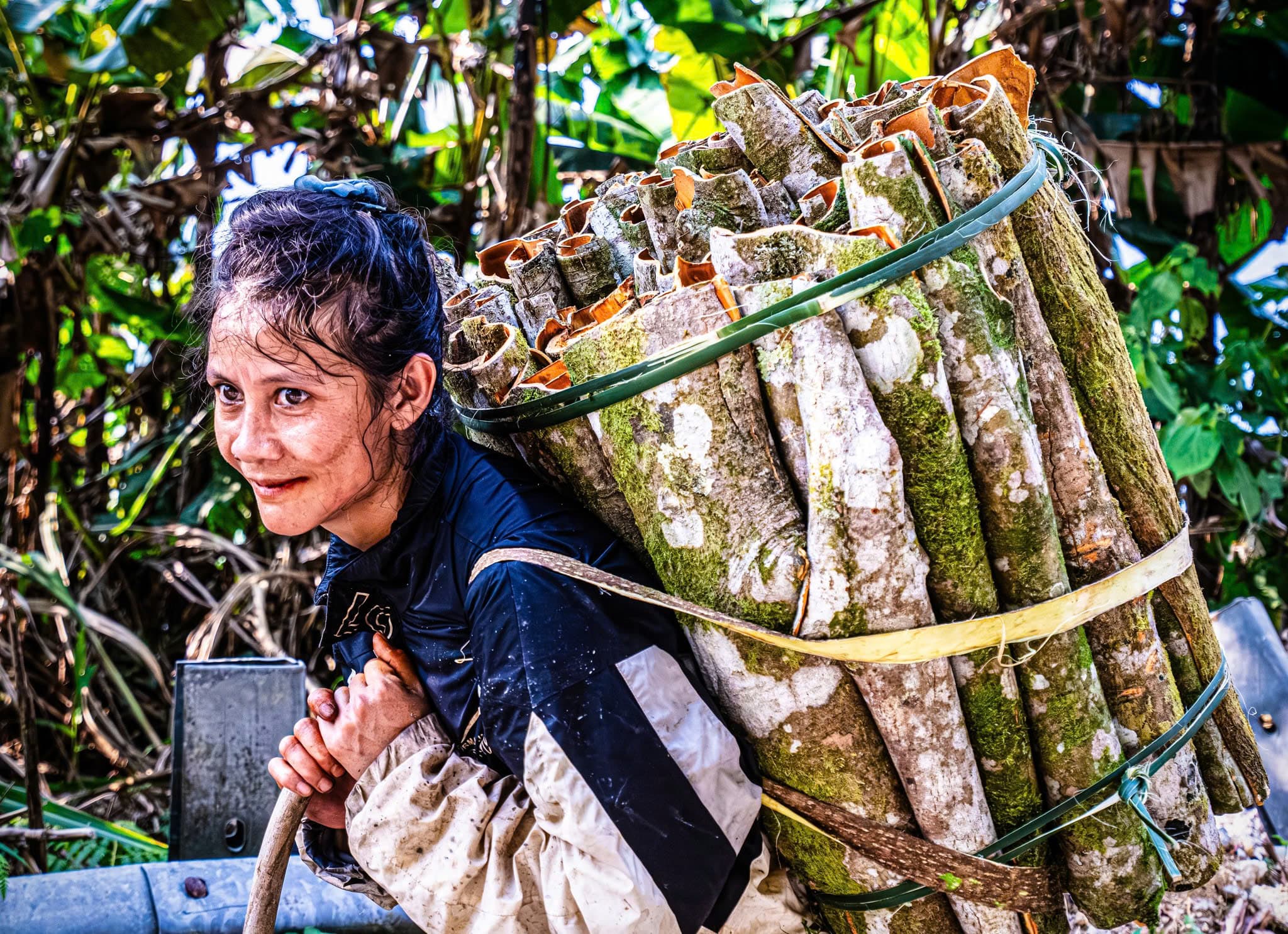 When People Protect Forests with Cinnamon Forests Themselves