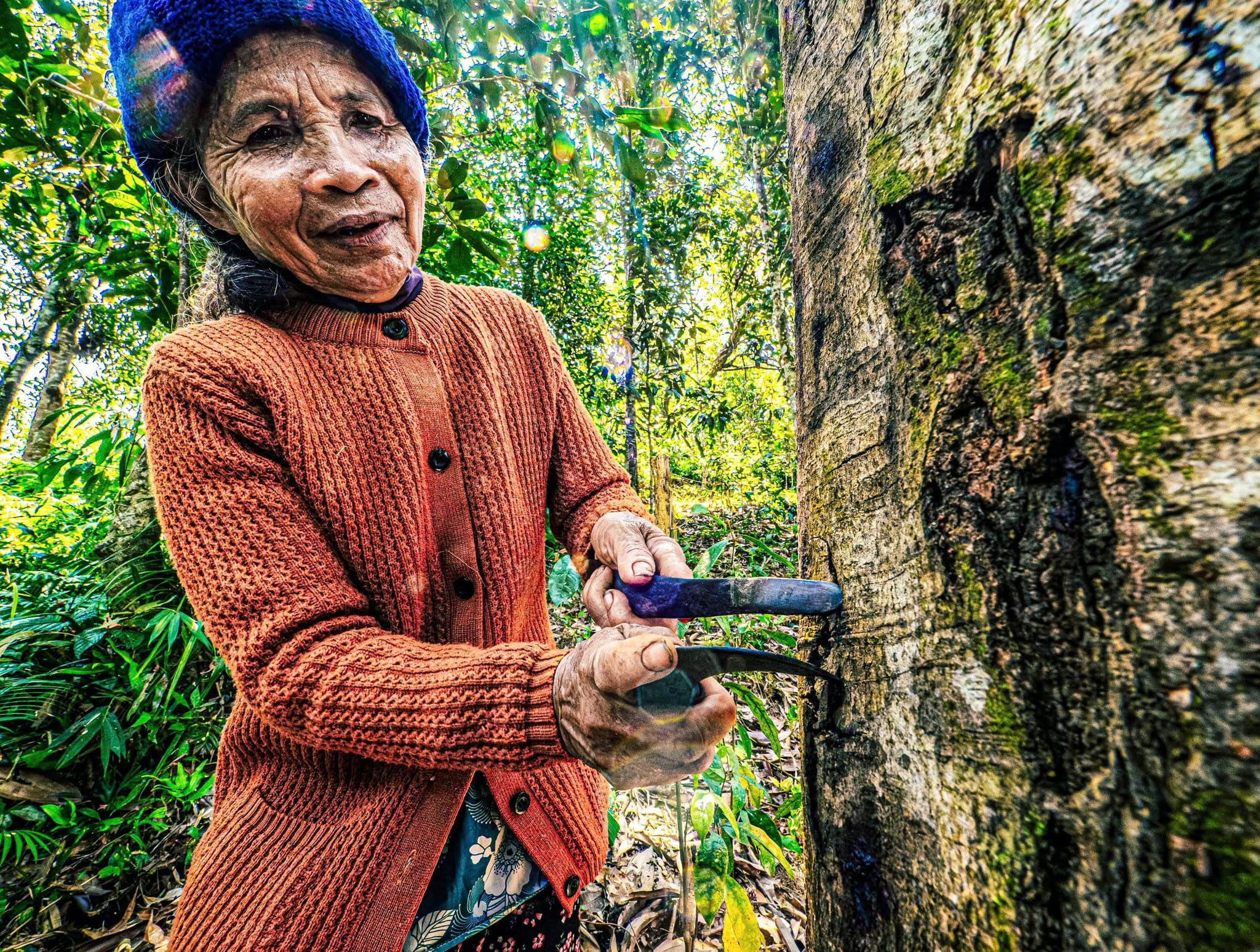 The Older the Cinnamon, the Higher its Value
