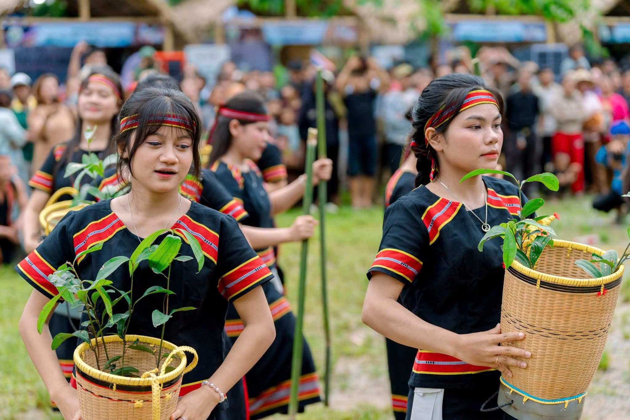 Tương Lai Nào Cho Vùng Quế Trà Leng?