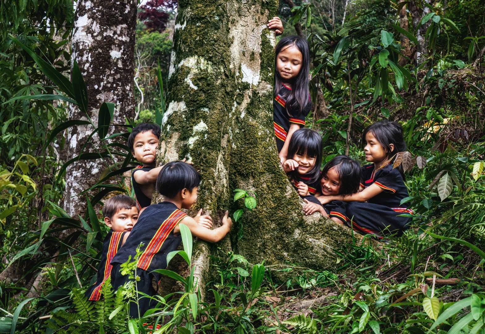 Trà Leng Childhood Grows Up with Mountains and Forests